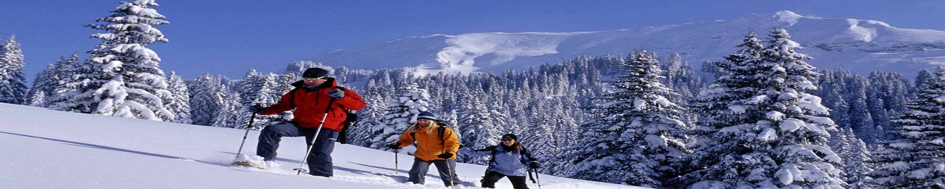 Gulmarg